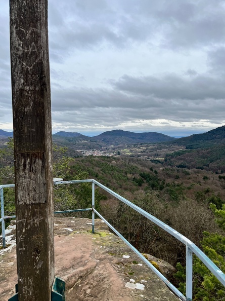 24-03-01 13-36-20 8876.jpeg